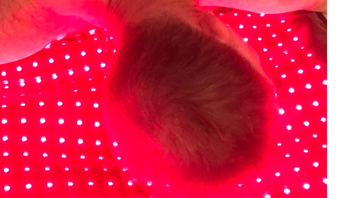 NEW Advanced Revolution RED - Portable Full Body Light Therapy Mat - Order Now for November Delivery
