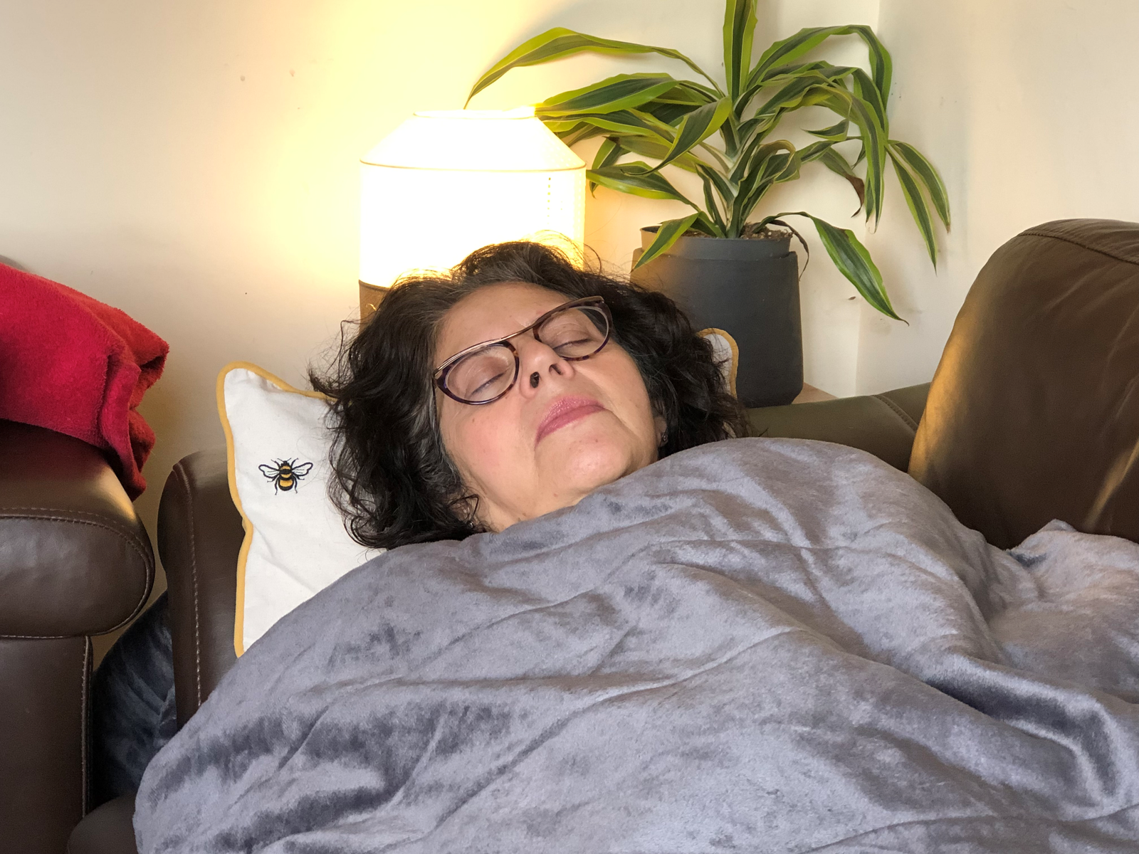 Cozy 4.0 Far Infrared Wrap & Throw - Bundle of 2 - Order Now for May Delivery