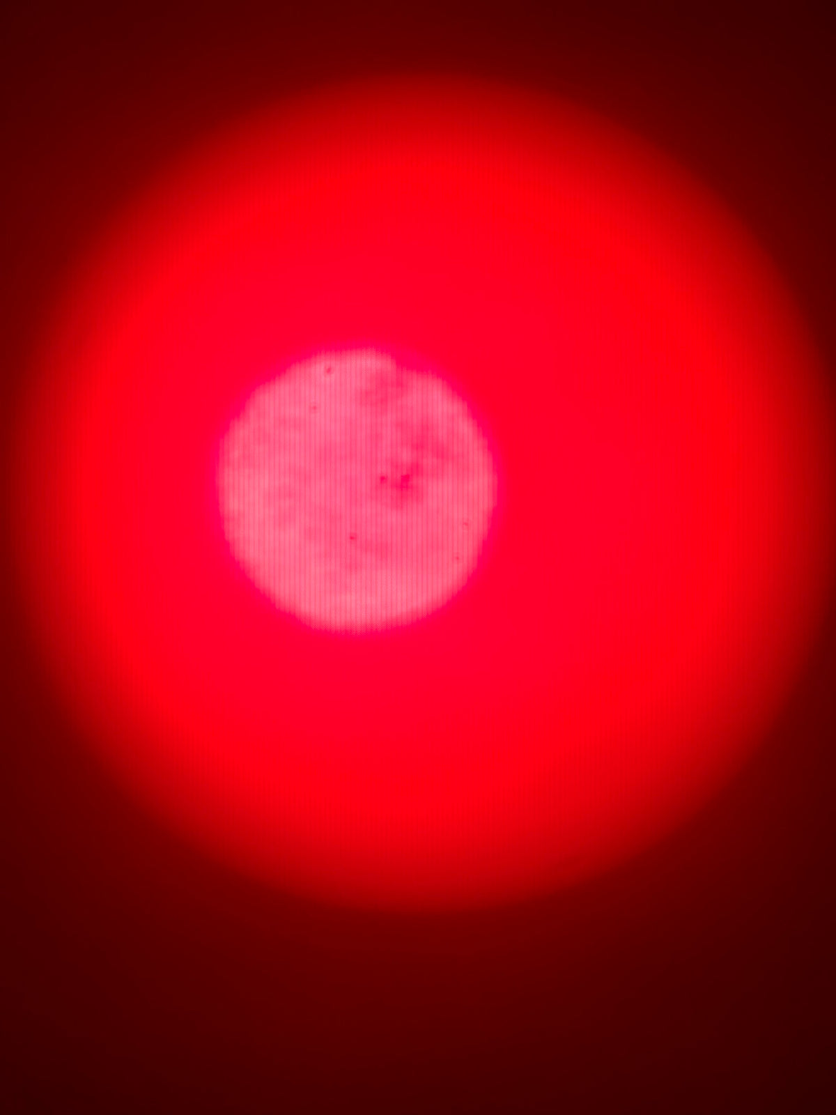 NEW Advanced Revolution RED - Portable Full Body Light Therapy Mat - Order Now for November Delivery